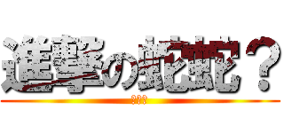 進撃の蛇蛇？ (嘶嘶嘶)