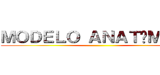 ＭＯＤＥＬＯ ＡＮＡＴÓＭＩＣＯ ()