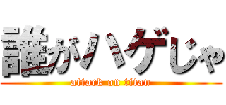 誰がハゲじゃ (attack on titan)