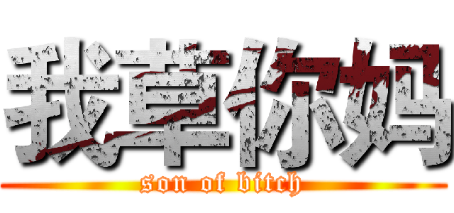 我草你妈 (son of bitch)
