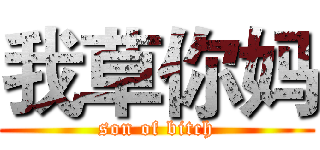 我草你妈 (son of bitch)