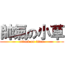 帥氣の小草 (attack on titan)