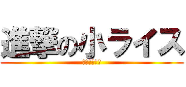 進撃の小ライス (古藤有希！！)