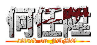 何任陞 (attack on FUMO)