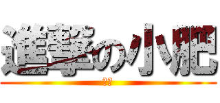 進撃の小肥 (給酷)