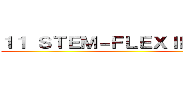 １１ ＳＴＥＭ－ＦＬＥＸＩＢＩＬＩＴＹ ()