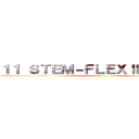 １１ ＳＴＥＭ－ＦＬＥＸＩＢＩＬＩＴＹ ()