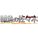 雑魚の佐々木 (zagyo on sasaki)