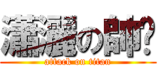 瀟灑の帥檚 (attack on titan)