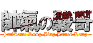 帥氣の駿哥 (handsome Rong-Jing James Hong)