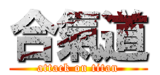 合氣道 (attack on titan)