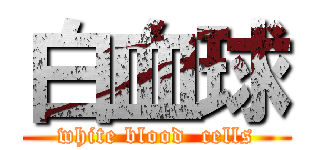 白血球 (white blood  cells)