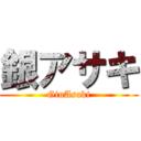 銀アサキ (GinAsaki)