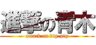 進撃の青木 (attack on big-pig)