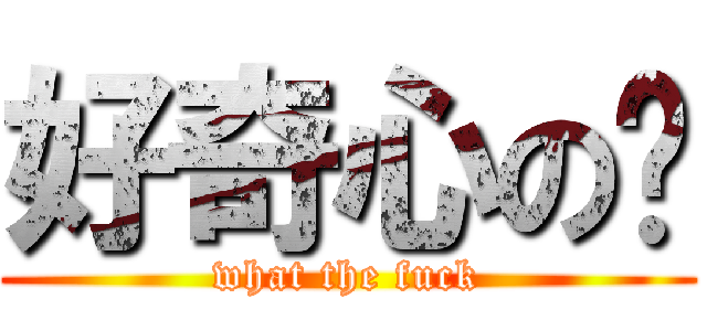 好奇心の貓 (what the fuck)