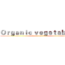 Ｏｒｇａｎｉｃ ｖｅｇｅｔａｂｌｅｓ (Organic vegetables)