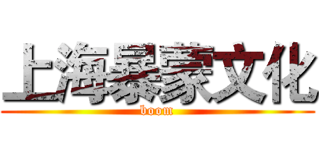 上海暴蒙文化 ( boom )