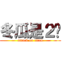 冬瓜是２货 (attack on titan)