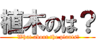 植木のは？ ( What about the plants?)
