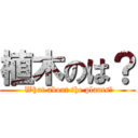 植木のは？ ( What about the plants?)