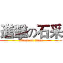 進擊の石采 (attack on titan)