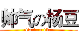 帅气の杨豆 (attack on titan)