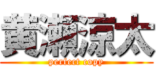 黄瀬涼太 (perfect copy)