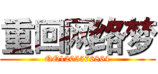 重回网络梦 (QQ1205576864)