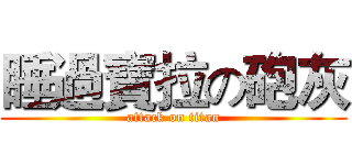 睡過寶拉の砲灰 (attack on titan)