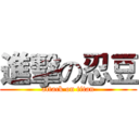 進擊の忍豆 (attack on titan)