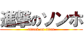 進撃のソンホ (attack on titan)
