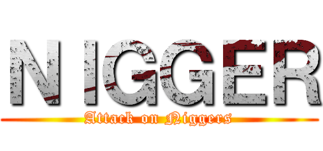 ＮＩＧＧＥＲ (Attack on Niggers)