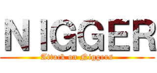 ＮＩＧＧＥＲ (Attack on Niggers)