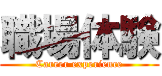 職場体験 (Career experience)