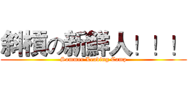 斜槓の新鮮人！！！ (Sommer Leading Camp)