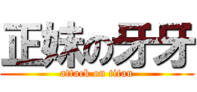 正妹の牙牙 (attack on titan)