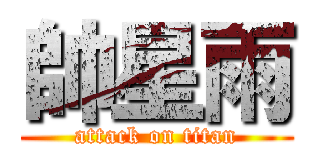 帥星雨 (attack on titan)