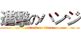 進擊のハンジ (attack on titan)