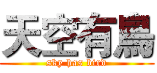 天空有鳥 (sky has bird)