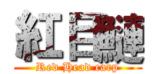 紅目鰱 (Red Head carp)