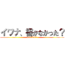 イワナ、書かなかった？ (COOKIE☆)