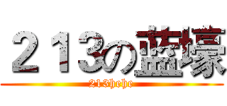 ２１３の蓝壕 (213hehe)