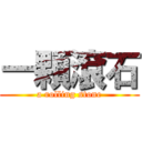 一顆滾石 (a rolling stone)