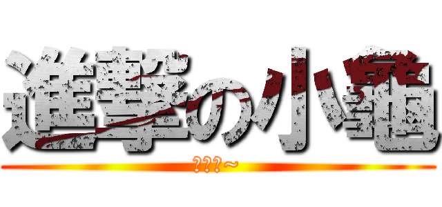 進撃の小龜 (咬我啊~)