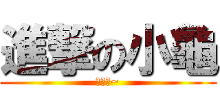 進撃の小龜 (咬我啊~)