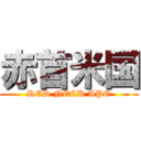 赤首米国 (RED NECK APE)