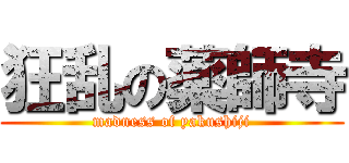 狂乱の薬師寺 (madness of yakushiji)