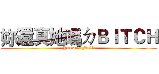 妳還真她嗎ㄉＢＩＴＣＨ (You are  FucK)