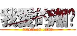 我愛的湘婷 (attack on titan)