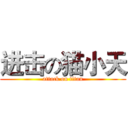 进击の猫小天 (attack on titan)